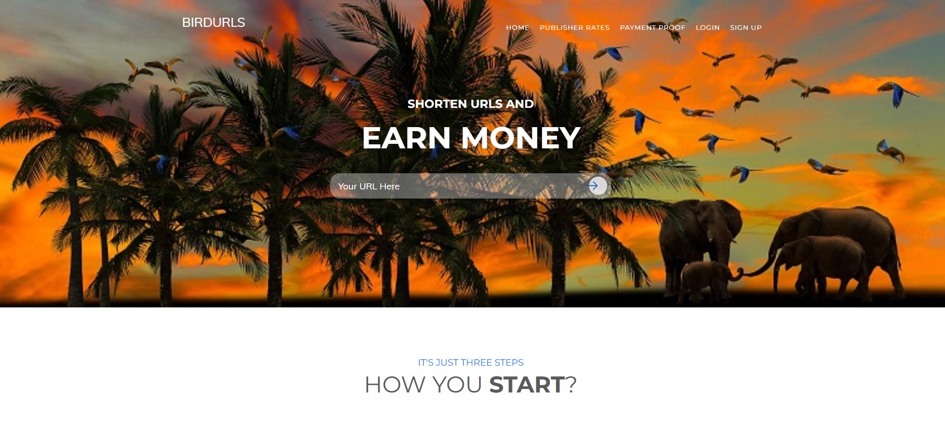 Programa de Afiliados de BirdUrls