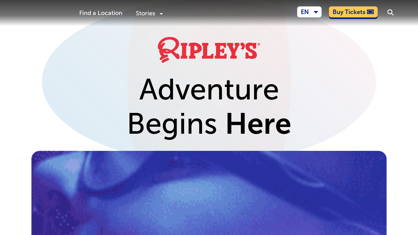 Programa de Afiliados de Ripley's