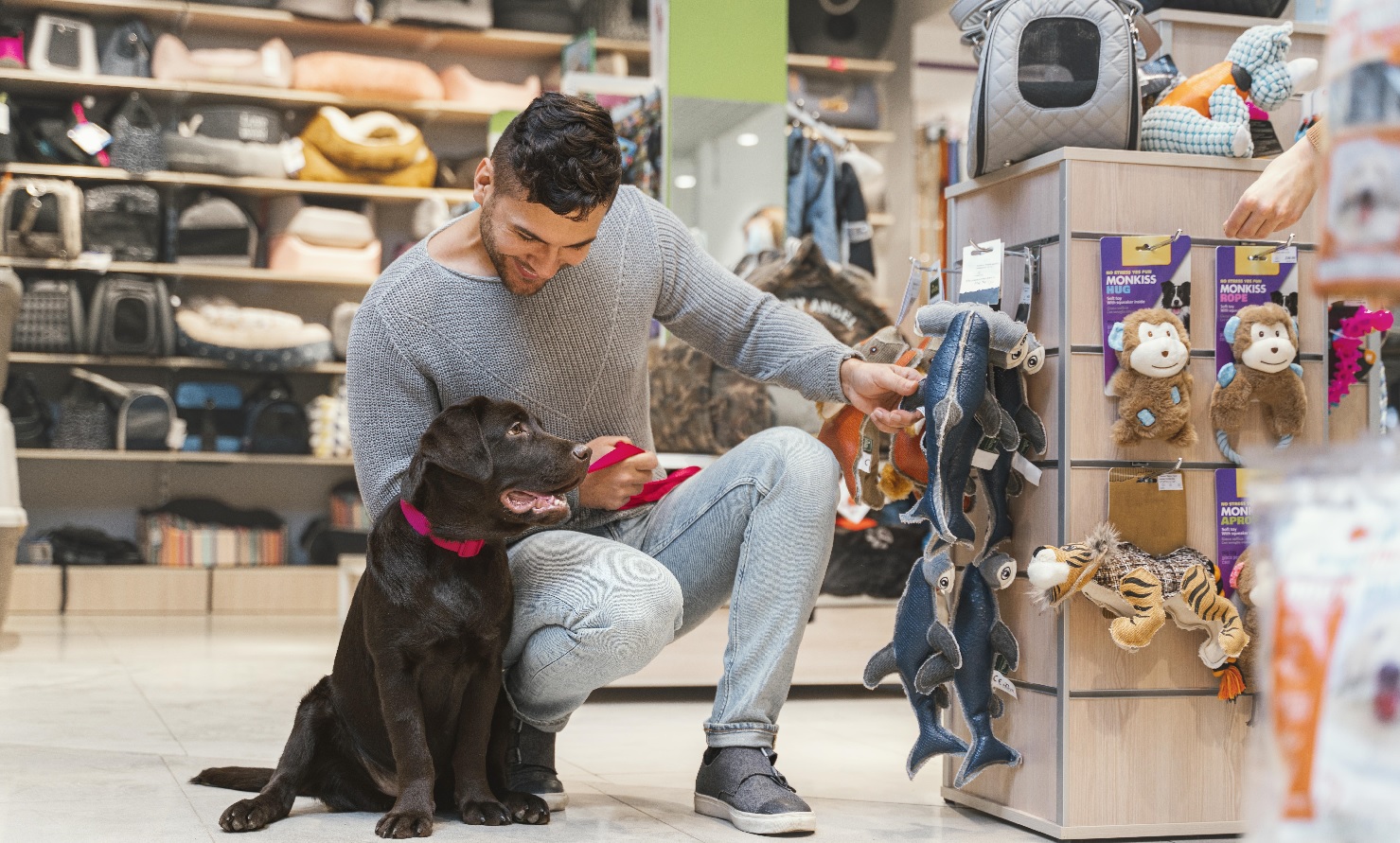 20 mejores programas de afiliados para mascotas en 2025