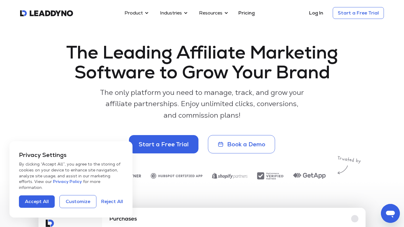 Panel de gestión de programas de afiliados LeadDyno