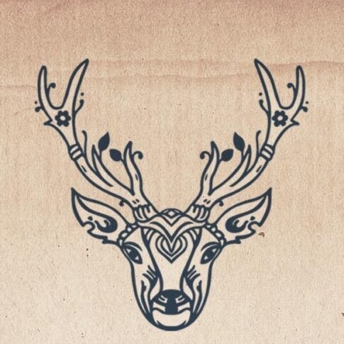 Contacto del Departamento de Afiliados de Heilkraft