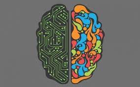 Contacto del Departamento de Afiliados de Curiosando - Affiliate Manager