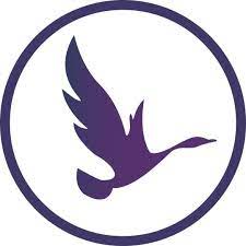 Contacto del Departamento de Afiliados de OdinSchool