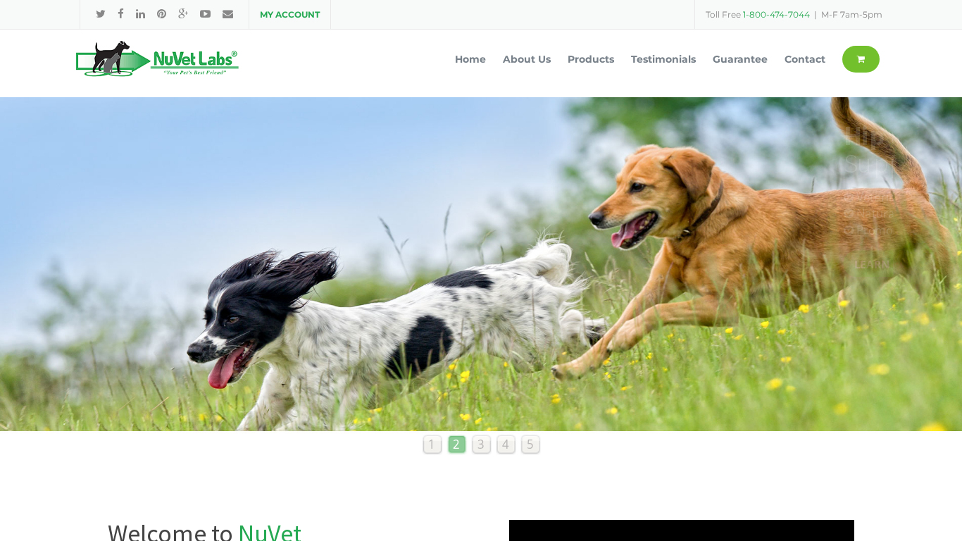 Programa de Afiliados de NuVet Labs