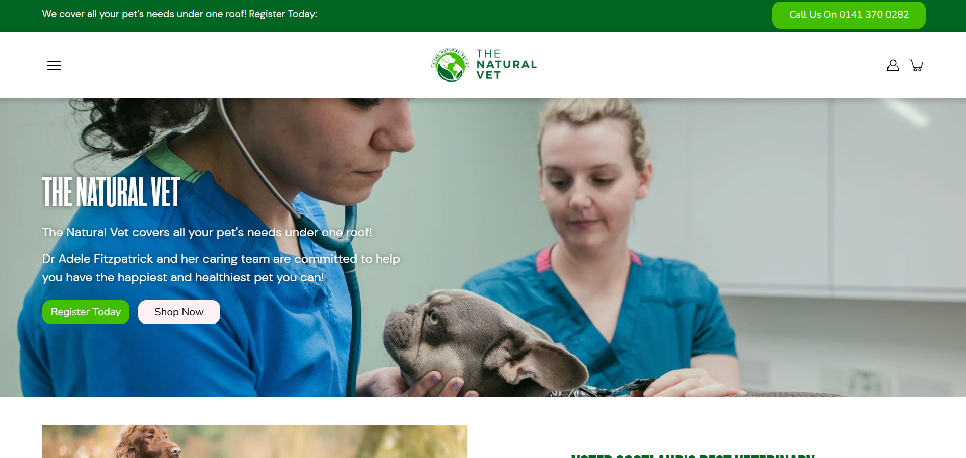 Programa de Afiliados de The Natural Vet