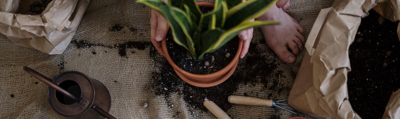 Por qué usar el marketing de afiliados para Hogar y Jardín